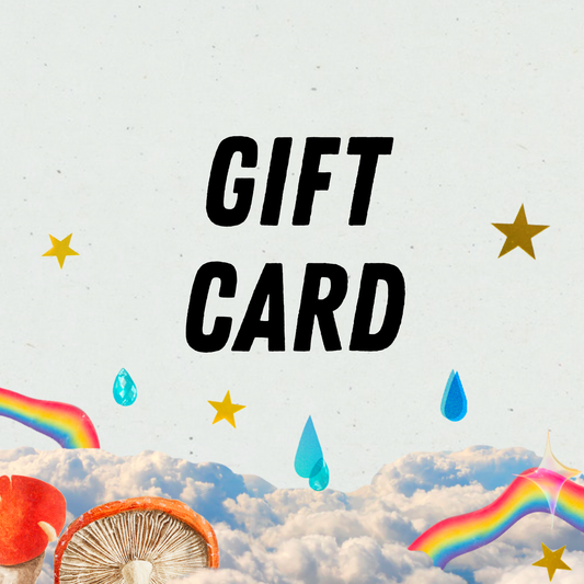 CHANI Shop Gift Card